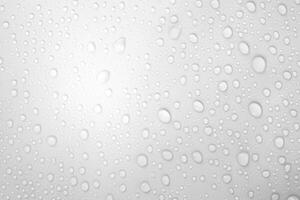 Droplets Dance, Water Gems on White Canvas photo