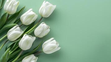 AI generated Soft green background with white tulips for mock up, presentation, backdrop, congratulations, birthday, wedding photo