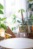 Empty round table for installation and demonstration of product in interior with Tropical indoor plants in country green house . Houseplant Growing and caring for potted plant, greenhome in cottage photo