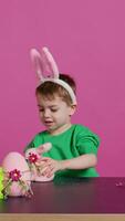 adorable pequeño niño jugando con un relleno Conejo y un rosado huevo a mesa, teniendo divertido decorando festivo Pascua de Resurrección adornos en estudio. alegre contento chico disfrutando fiesta preparativos. cámara b. video