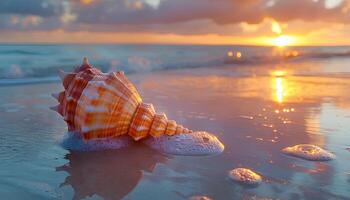 AI generated Seashell on the beach. Sea shell on the sand closeup. Closeup of a seashell on a sandy beach in tropical location. Salt water seashell photo