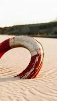 Lifebuoy on the city beach at sunset video