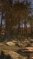 desert oasis among the dunes video