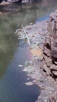 Colorado rio desfiladeiro perto moab video
