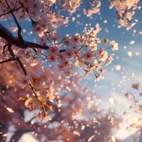 ai generado antecedentes de que cae rosado Cereza flores de cerca. boda, de la madre día, San Valentín día, Cereza florecer festival foto