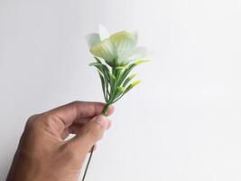 a white rose held by a man photo