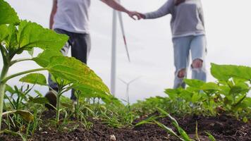 Paar Spaziergänge zwischen das Betten gegen das Hintergrund von Wind Turbinen video