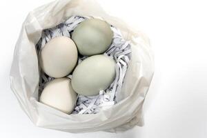 Eggs on the straw paper in recycle plastic bag photo