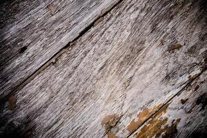 Texture surface of old wooden board photo