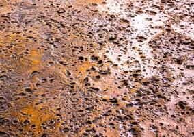 Many rugged holes on the rusty color concrete floor photo