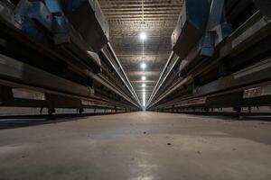 The empty laying cages in the chicken farm photo