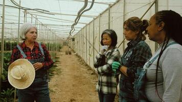 a group of people standing in a greenhouse video