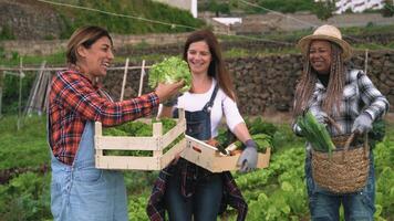 Tres mujer son participación cestas de vegetales en un orgánico jardín video