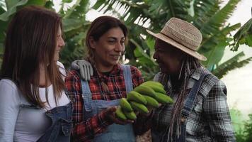 Tres mujer en pie en un campo participación bananas video