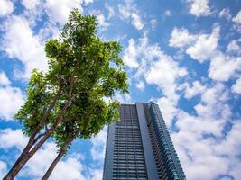 Skyscraper and trees under the cloud and sky photo