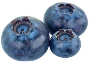 AI generated Detailed view of a blueberry on a transparent background photo