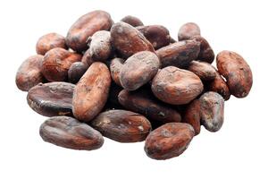 AI generated A stack of cocoa beans on a transparent background photo