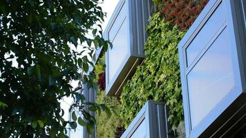 fönster i modern byggnad med vertikal trädgårdar video