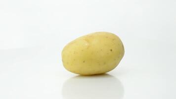 Potato turning on white background video