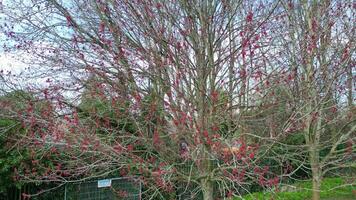 Central Hatfield City and Downtown of Hertfordshire, England, United Kingdom. March 9th, 2024 video