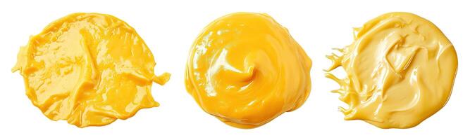 AI generated Set of circular processed cheese on a transparent background photo