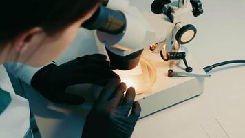 Female microbiologist looking for bacteria under a microscope. A researcher examines a variety of bacteria in the soil using a microscope. video