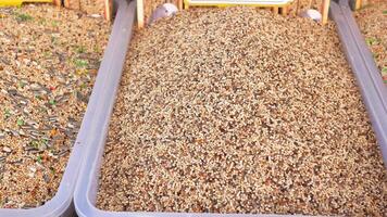 stack of dried cat food display for sale at local market video