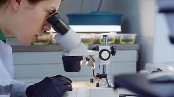 femelle microbiologiste à la recherche pour les bactéries en dessous de une microscope. une chercheur examine une variété de les bactéries dans le sol en utilisant une microscope. video