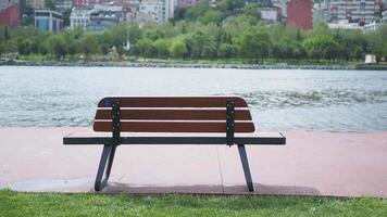 Wooden bench near water with plants, trees, and grass in natural outdoor setting video