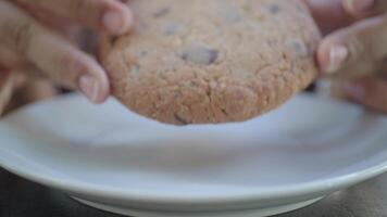 mujer mano recoger un dulce galletas video