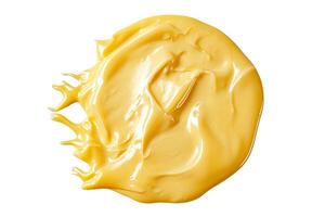 AI generated Circular processed cheese on a transparent background photo