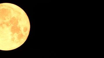 une embrasé d'or énorme plein lune vu de Terre par le atmosphère contre une étoilé nuit ciel. une grand plein lune se déplace à travers le ciel, le lune en mouvement de le la gauche Cadre à le droite. video