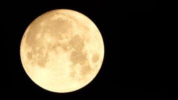 uma brilhando dourado enorme cheio lua visto a partir de terra através a atmosfera contra uma estrelado noite céu. uma ampla cheio lua movimentos através a céu, a lua comovente a partir de a esquerda quadro, Armação para a certo. video