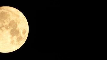 un brillante dorado enorme lleno Luna visto desde tierra mediante el atmósfera en contra un estrellado noche cielo. un grande lleno Luna se mueve a través de el cielo, el Luna Moviente desde el izquierda marco a el bien. video