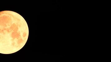 een gloeiend gouden reusachtig vol maan gezien van aarde door de atmosfeer tegen een sterrenhemel nacht lucht. een groot vol maan beweegt aan de overkant de lucht, de maan in beweging van de links kader naar de Rechtsaf. video