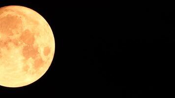 un brillante dorado enorme lleno Luna visto desde tierra mediante el atmósfera en contra un estrellado noche cielo. un grande lleno Luna se mueve a través de el cielo, el Luna Moviente desde el izquierda marco a el bien. video