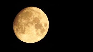 un brillante dorado enorme lleno Luna visto desde tierra mediante el atmósfera en contra un estrellado noche cielo. un grande lleno Luna se mueve a través de el cielo, el Luna Moviente desde el fondo izquierda marco a el parte superior bien. video