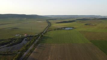 Aerial view on green wheat field in countryside. Field of wheat blowing in the wind like green sea. Young and green Spikelets. Ears of barley crop in nature. Agronomy, industry and food production. video