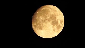 un brillante dorado enorme lleno Luna visto desde tierra mediante el atmósfera en contra un estrellado noche cielo. un grande lleno Luna se mueve a través de el cielo, el Luna Moviente desde el fondo izquierda marco a el parte superior bien. video