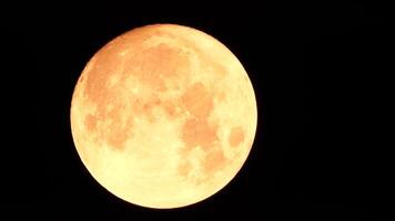 une embrasé d'or énorme plein lune vu de Terre par le atmosphère contre une étoilé nuit ciel. une grand plein lune se déplace à travers le ciel, le lune en mouvement de le la gauche Cadre à le droite. video