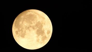 uma brilhando dourado enorme cheio lua visto a partir de terra através a atmosfera contra uma estrelado noite céu. uma ampla cheio lua movimentos através a céu, a lua comovente a partir de a esquerda quadro, Armação para a certo. video