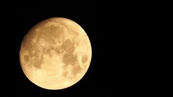 un' raggiante d'oro enorme pieno Luna visto a partire dal terra attraverso il atmosfera contro un' stellato notte cielo. un' grande pieno Luna si sposta attraverso il cielo, il Luna in movimento a partire dal il parte inferiore sinistra telaio per il superiore Giusto. video