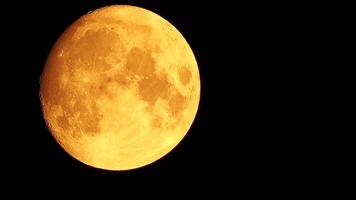 A glowing golden huge full moon seen from earth through the atmosphere against a starry night sky. A large full moon moves across the sky, the moon moving from the bottom left frame to the top right. video