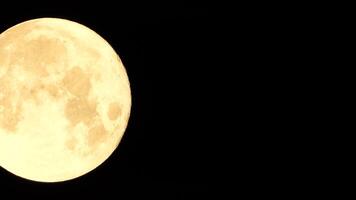 un brillante dorado enorme lleno Luna visto desde tierra mediante el atmósfera en contra un estrellado noche cielo. un grande lleno Luna se mueve a través de el cielo, el Luna Moviente desde el izquierda marco a el bien. video