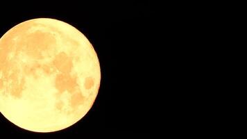 un brillante dorado enorme lleno Luna visto desde tierra mediante el atmósfera en contra un estrellado noche cielo. un grande lleno Luna se mueve a través de el cielo, el Luna Moviente desde el izquierda marco a el bien. video