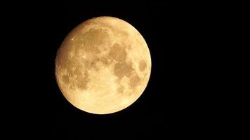 een gloeiend gouden reusachtig vol maan gezien van aarde door de atmosfeer tegen een sterrenhemel nacht lucht. een groot vol maan beweegt aan de overkant de lucht, de maan in beweging van de bodem links kader naar de top Rechtsaf. video