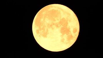 en lysande gyllene enorm full måne sett från jord genom de atmosfär mot en starry natt himmel. en stor full måne rör sig tvärs över de himmel, de måne rör på sig från de vänster ram till de höger. video