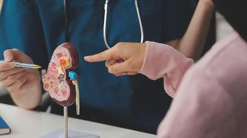 Gastroenterologist doctor explaining liver and gallbladder problems using anatomical model to patient during clinic visit. Treatment of gallbladder and liver diseases video