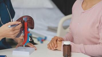 Gastroenterologist doctor explaining liver and gallbladder problems using anatomical model to patient during clinic visit. Treatment of gallbladder and liver diseases video