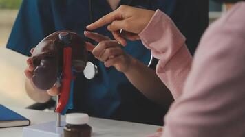 Gastroenterologist doctor explaining liver and gallbladder problems using anatomical model to patient during clinic visit. Treatment of gallbladder and liver diseases video